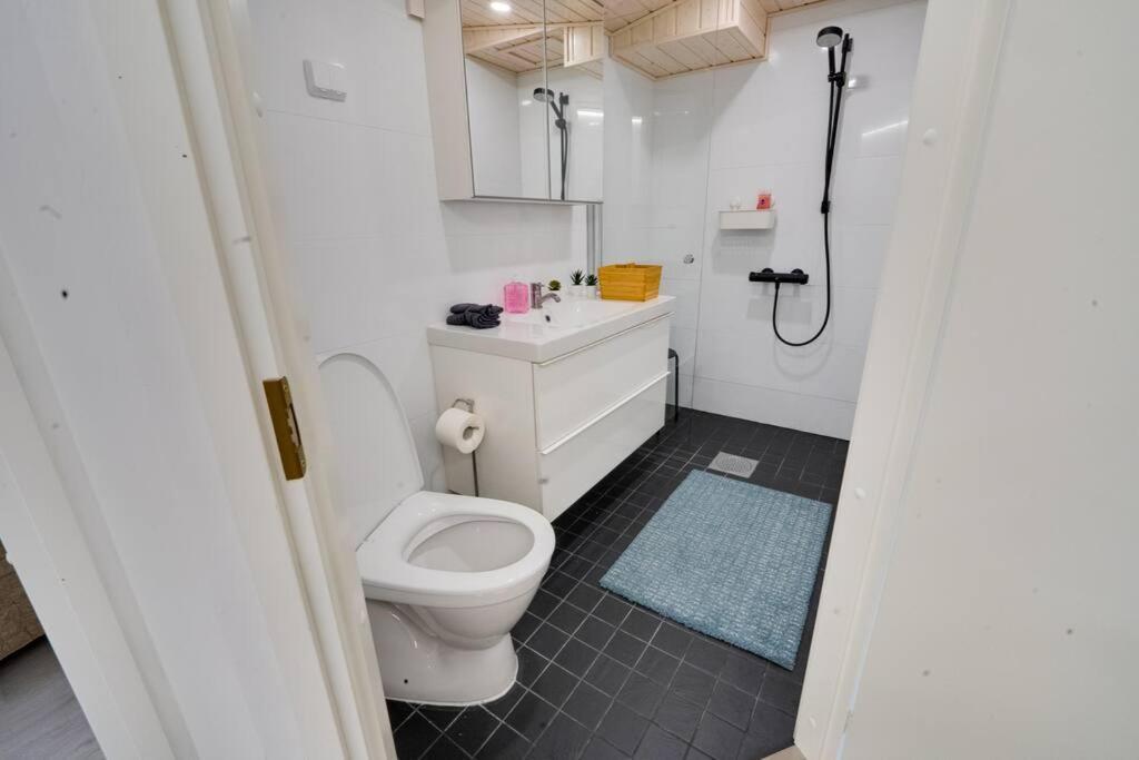 3H,K,P - Keskellae Tamperetta Kaunis Parvekkeellinen Uusittu Kolmio Apartment Екстериор снимка