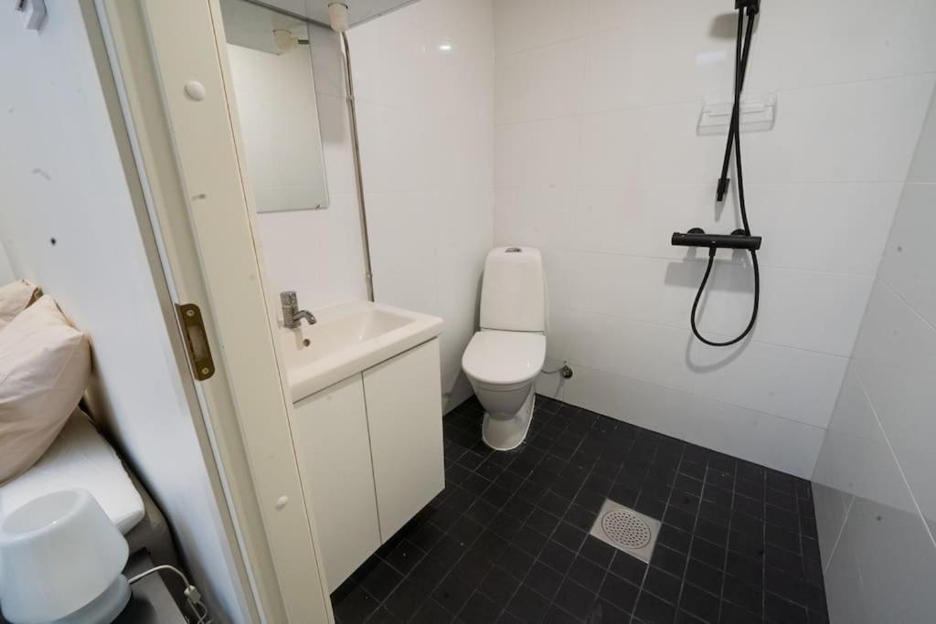 3H,K,P - Keskellae Tamperetta Kaunis Parvekkeellinen Uusittu Kolmio Apartment Екстериор снимка